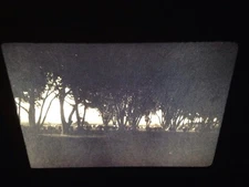 766 Edward Curtis "Cottonwoods" Navaho Native American photography 35mm slide