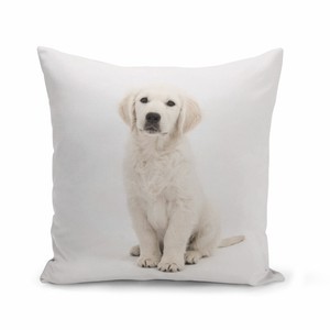 Détails Sur Housse De Coussin 40x40 Cm Chiot Labrador Blanc Bebe Chien Trop Mignon