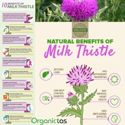 Organic Milk Thistle Seed Powder - Premium Quality For Tea Or Culinary Use, 100% Natural, Vegan, GMO-Free
