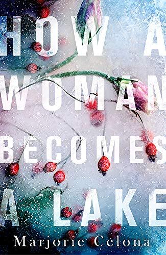 How a Woman Becomes a Lake by Marjorie Celona (Paperback, 2020) - Image 5