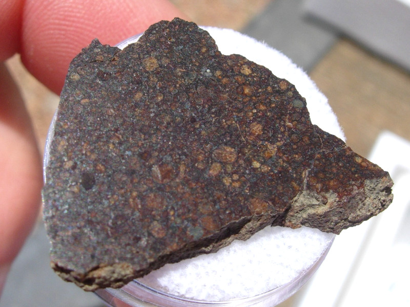 4.24 grams NWA 14659 Meteorite Ordinary chondrite (LL3) slice with a COA
