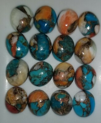 Spiny Oyster Copper Turquoise 12x10mm Cabochon Oval Loose Gemstone(s)