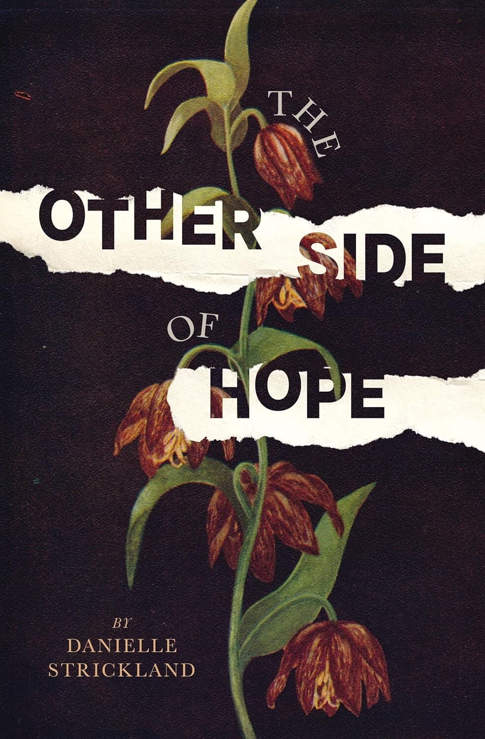 The Other Side of Hope Danielle Strickland Book NEW Paperback