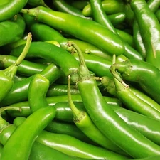 Serrano Pepper Seeds, Hot Heirloom, Non-GMO, High Yield, Free Shipping