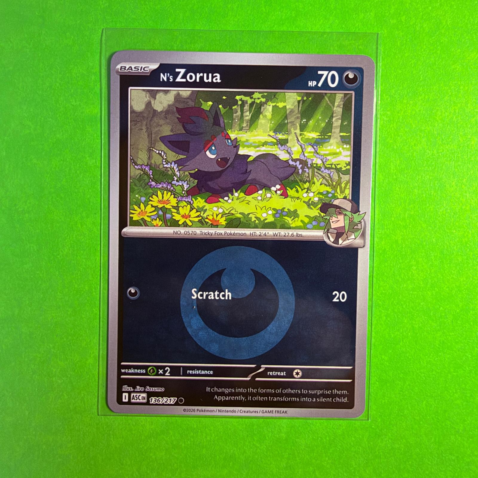 N's Zorua 136/217 Ascended Heroes Pokemon Reverse Holo NM/M