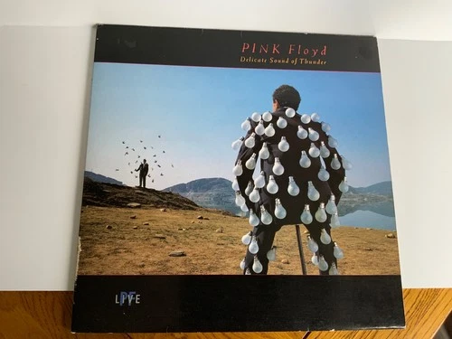 Pink Floyd - Delicate Sound Of Thunder (1988 Double Vinyl) - EQ 5009