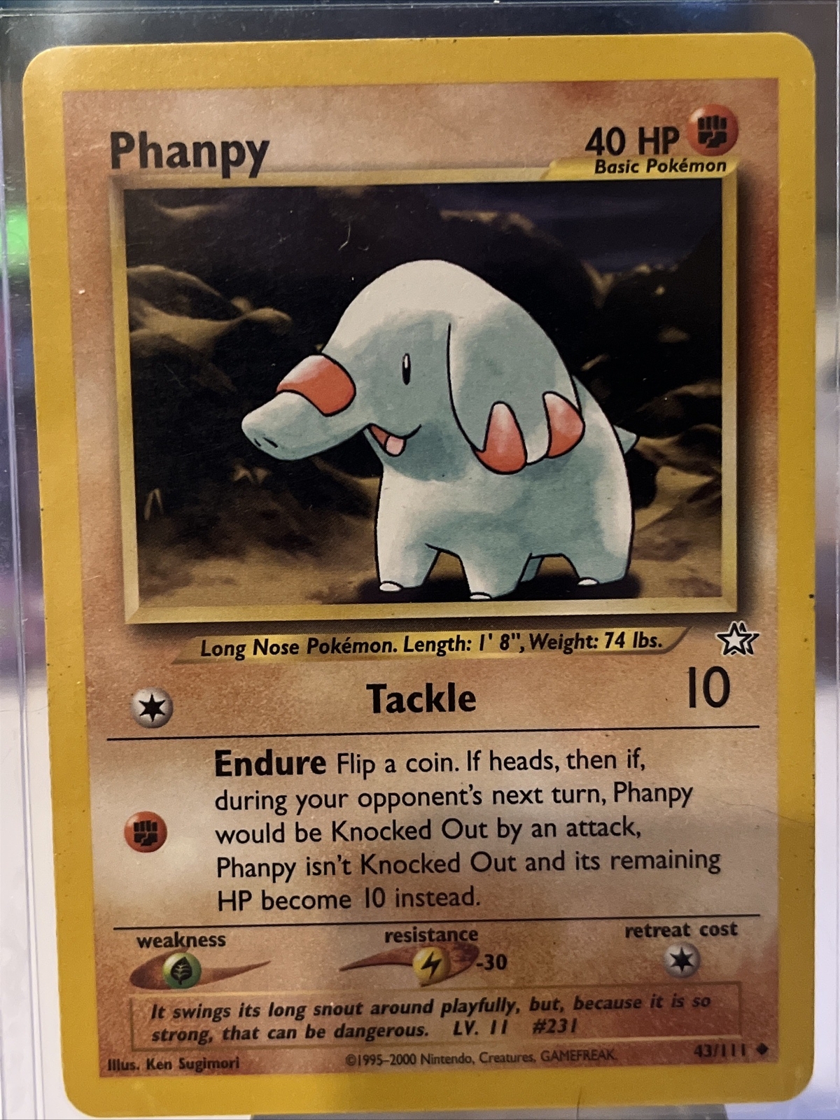 Pokémon TCG Phanpy Neo Genesis 43 Regular Unlimited Uncommon LP