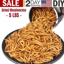 Dried Mealworms for Chickens Wild Birds Ducks and Small Pets Non-GMO 5 LBS Bag