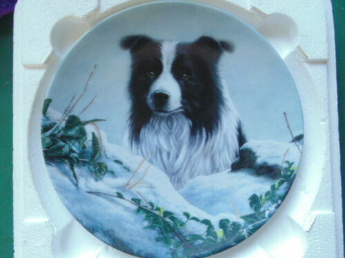 CollectA Border Collie (88010) | eBay UK