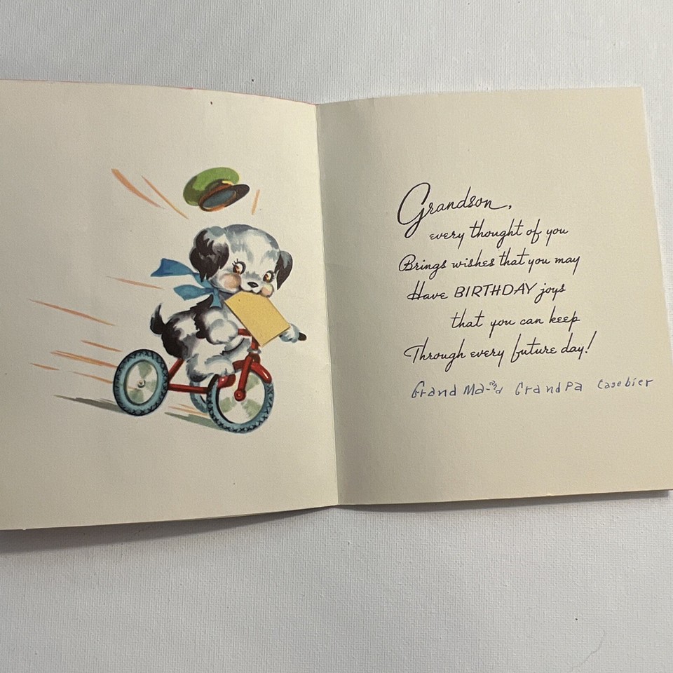 Vintage Art Guild Birthday Grandson Dog Flocked Plaid Card Signed W