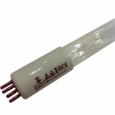 T5 Four Pin 40 Watt 33.5" (850.9mm) Germicidal Replacement Bulb UVC Lamp