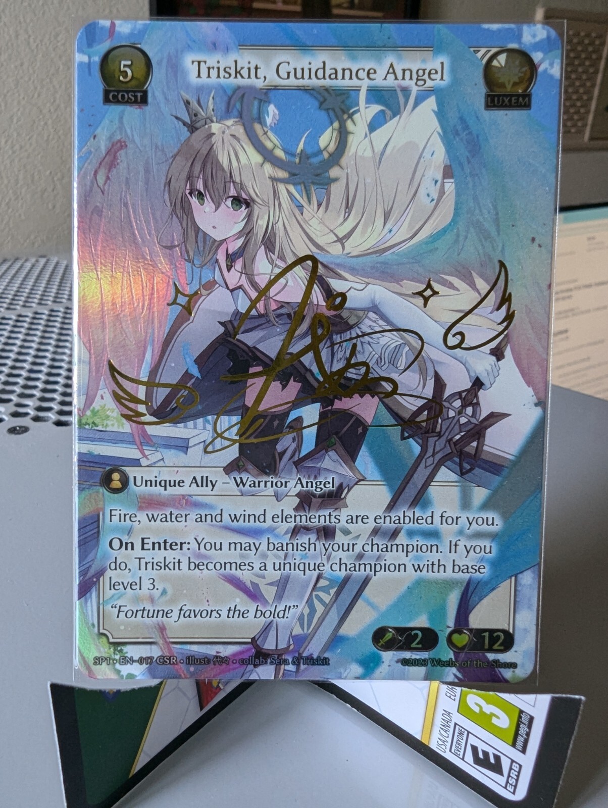 Triskit, Guidance Angel CSR グランドアーカイブ Triskit, Guidance