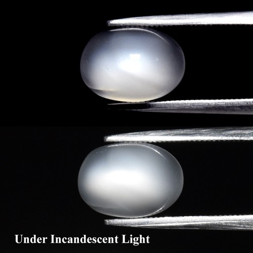 💎 Pietra di Luna Cabochon Ovale Naturale Bianco Occhio di Gatto 3,50ct - Pietra Preziosa Africa