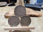 1923 S Peace Dollars (3) Circulated Condition