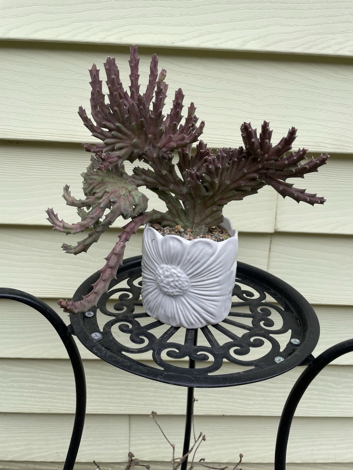 Picture 3 of 18