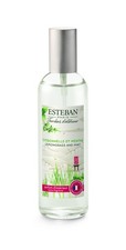 Esteban Citronella And Mint Room Fragrance 100 Ml