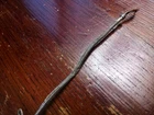 Picture 8 of 10