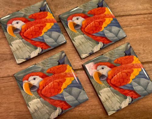 VINTAGE PARROT TROPICAL BIRD CERAMIC DRINK COASTER LOT BARWARE ( QTY 4 ) USED