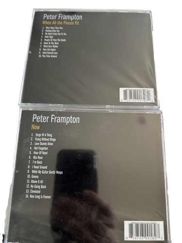 Peter Green's - CD - Katmandu-A case for the blues (1984