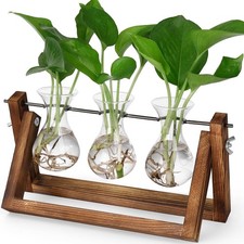 3 Bulb Glass Plant Propagation Station Retro Wooden Stand Hydroponic Vase