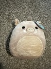 Squishmallow WARREN the WARTHOG WILD BOAR PLUSH NEW — photo 2