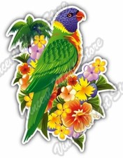Rainbow Lorikeet Lorie Tropical Flowers Car Bumper Vinyl Sticker Decal 4