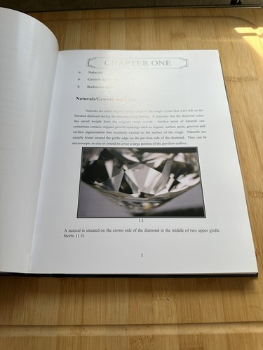 New Diamond Inclusions Book By Nizam Peters For Diamond Grading - Picture 6 of 12