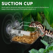 Reptile Feeding Box Food Dish Drinking Water Bowl  Suction Cup  Free Hammock