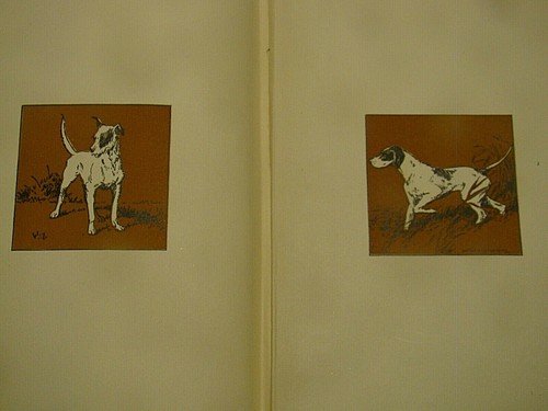 Charles Wright Gray Dawgs, an Anthology of Stories about Them First edition 1925 - Picture 6 of 6