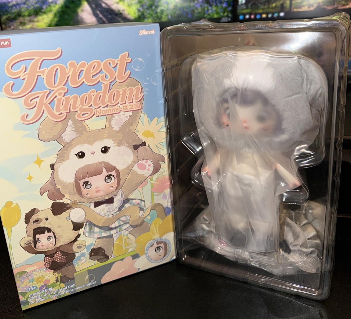 NOMMI BJD FOREST KINGDOM SERIES BLIND BOX-KITTY | eBay