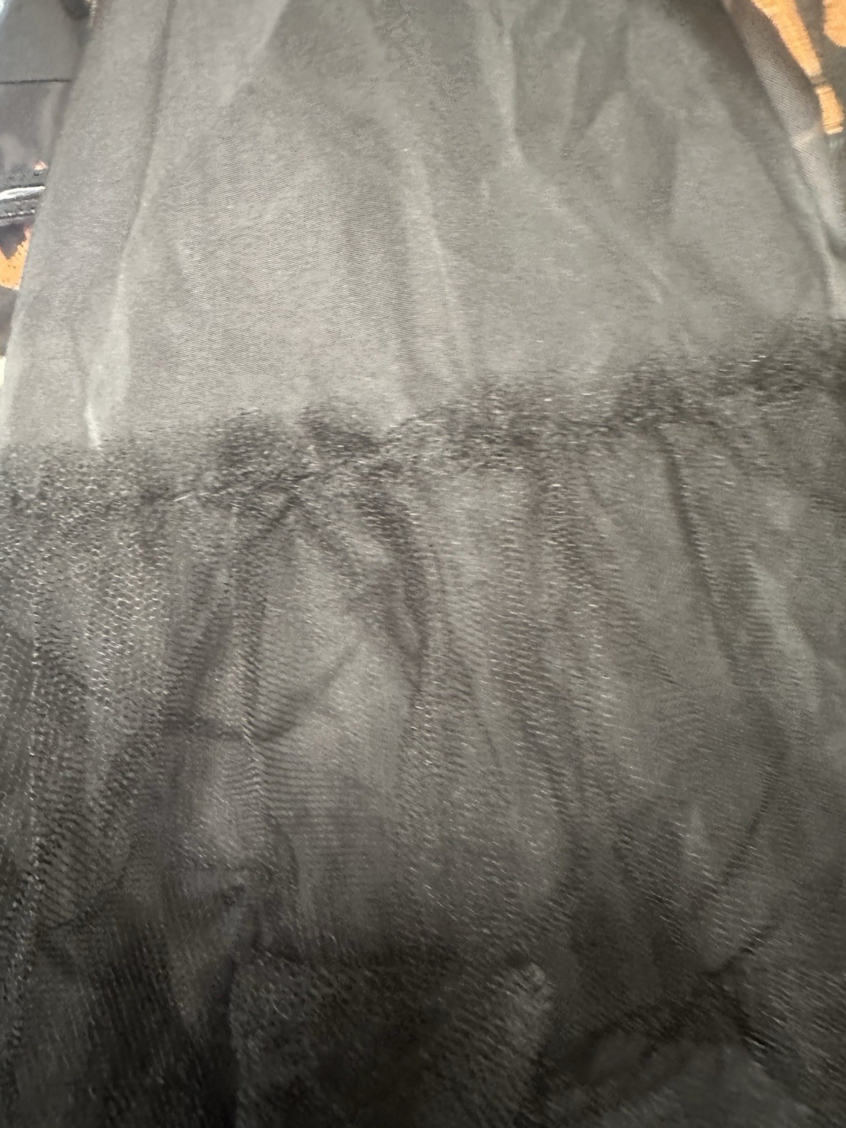 Picture 5 of 14