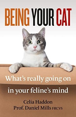 Being Your Cat Whats really go - GOOD