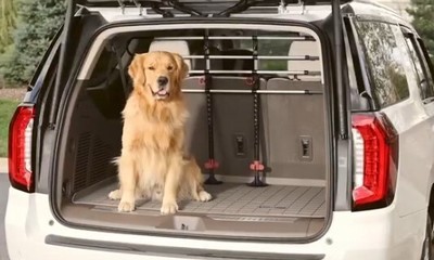 Weathertech Pet Barrier Adjustable Safety Gate Car SUV Minivan