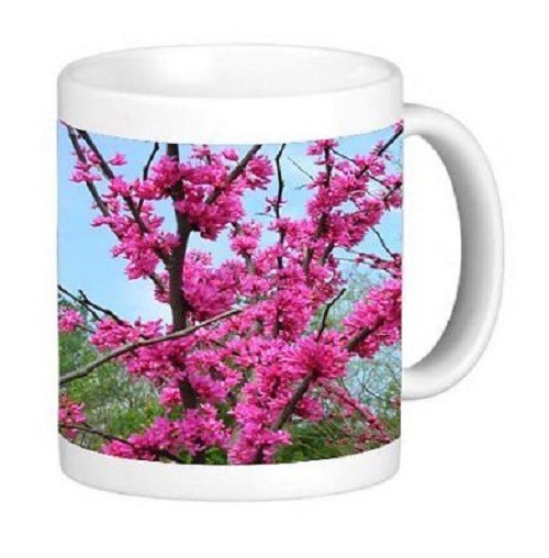 Beautiful Pink Redbud Tree Photo 11oz mug Ceramic Coffee mug