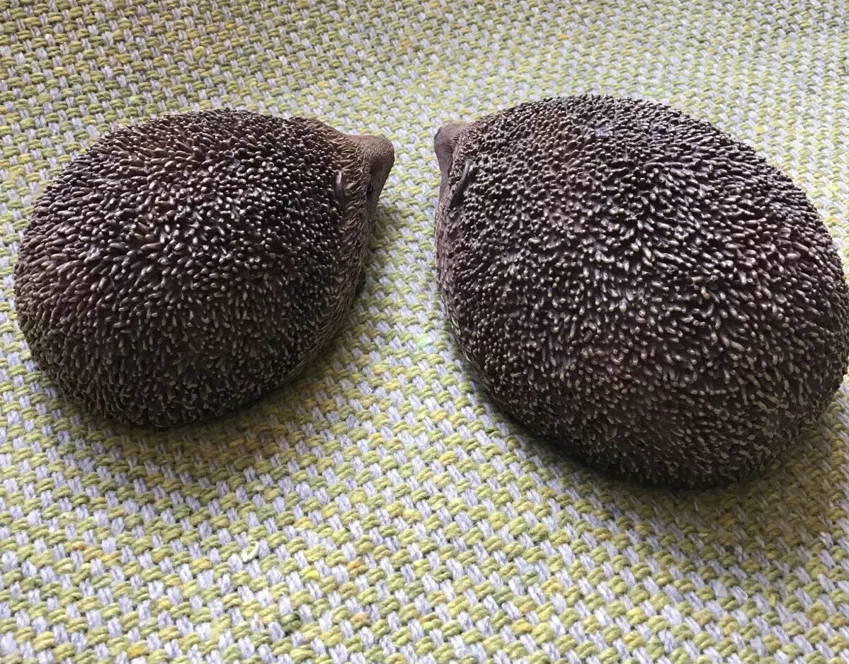 Pair Of Resin Garden Hedgehogs Ornaments Outdoor Or Indoor Use eBay