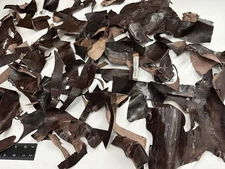 Ring Lizard Hide Scraps Remnants Piece monitor Leather iguana Skin Teju Tegu 1
