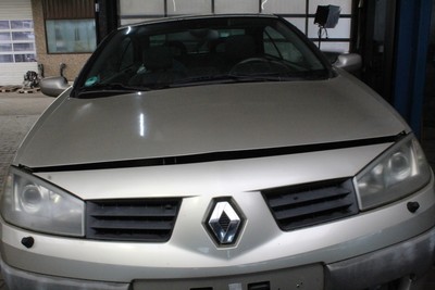 Motorhaube Renault Megane 2.0 Coupe-cabriolet Aut. M Farbe Beige Pepper BC