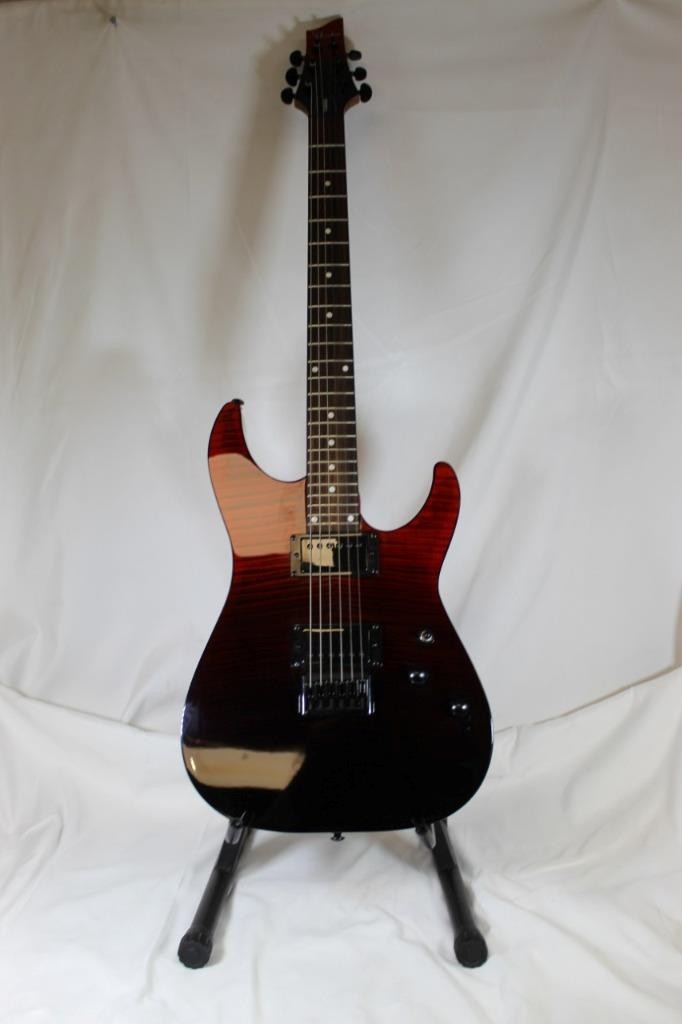 Schecter Diamond Series Standard Electric Guitar with Gator Cases Hard Case