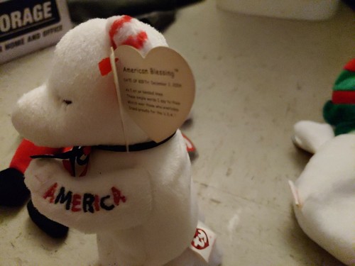 Beanie Baby Bundle - Picture 4 of 8