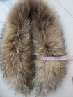 Foto 12 di 12