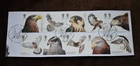 GB 2019 Birds of Prey, Commemorative Stamps On Piece, Used ex FDC
