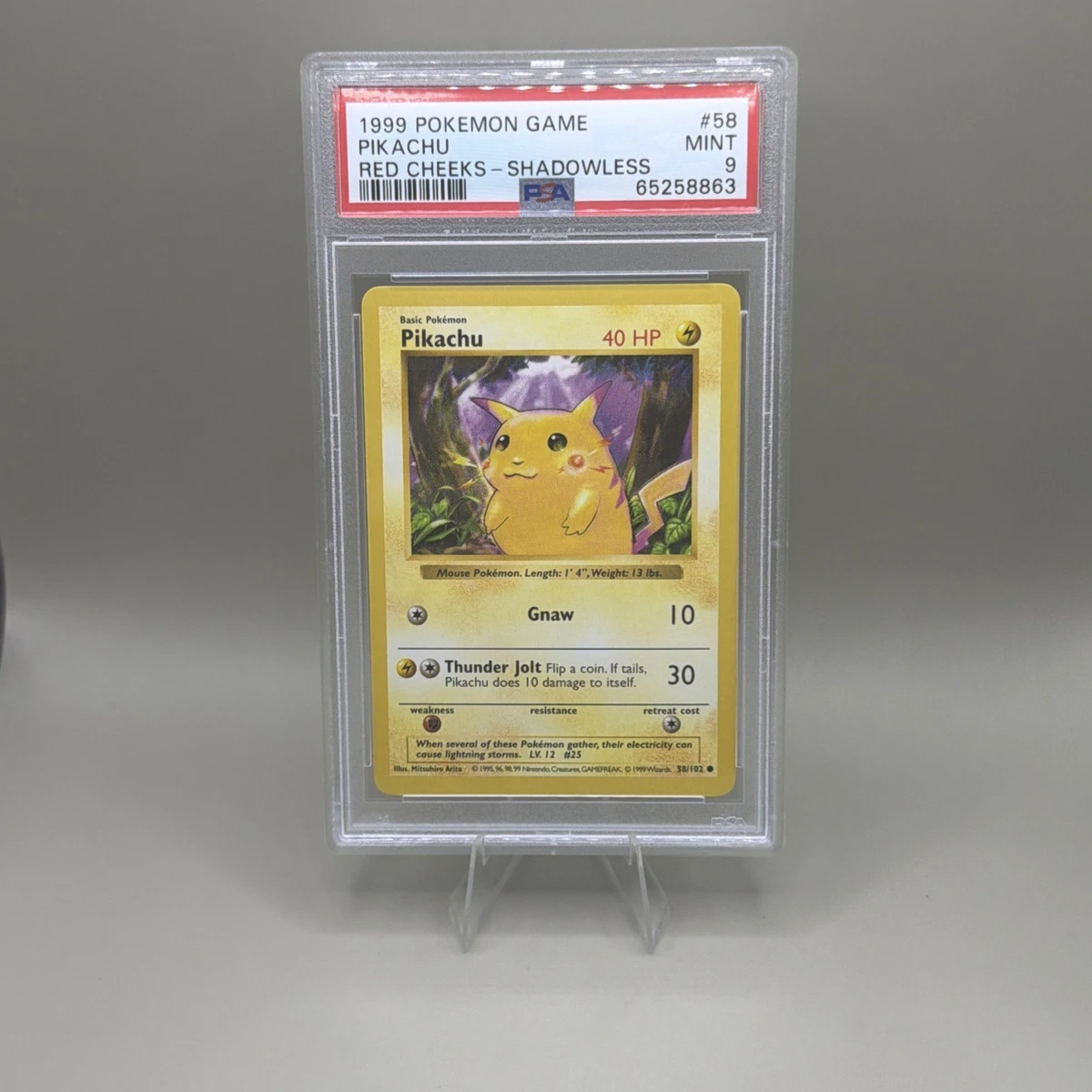 Pikachu Pokémon TCG Professional Sports Authenticator (PSA) Grade
