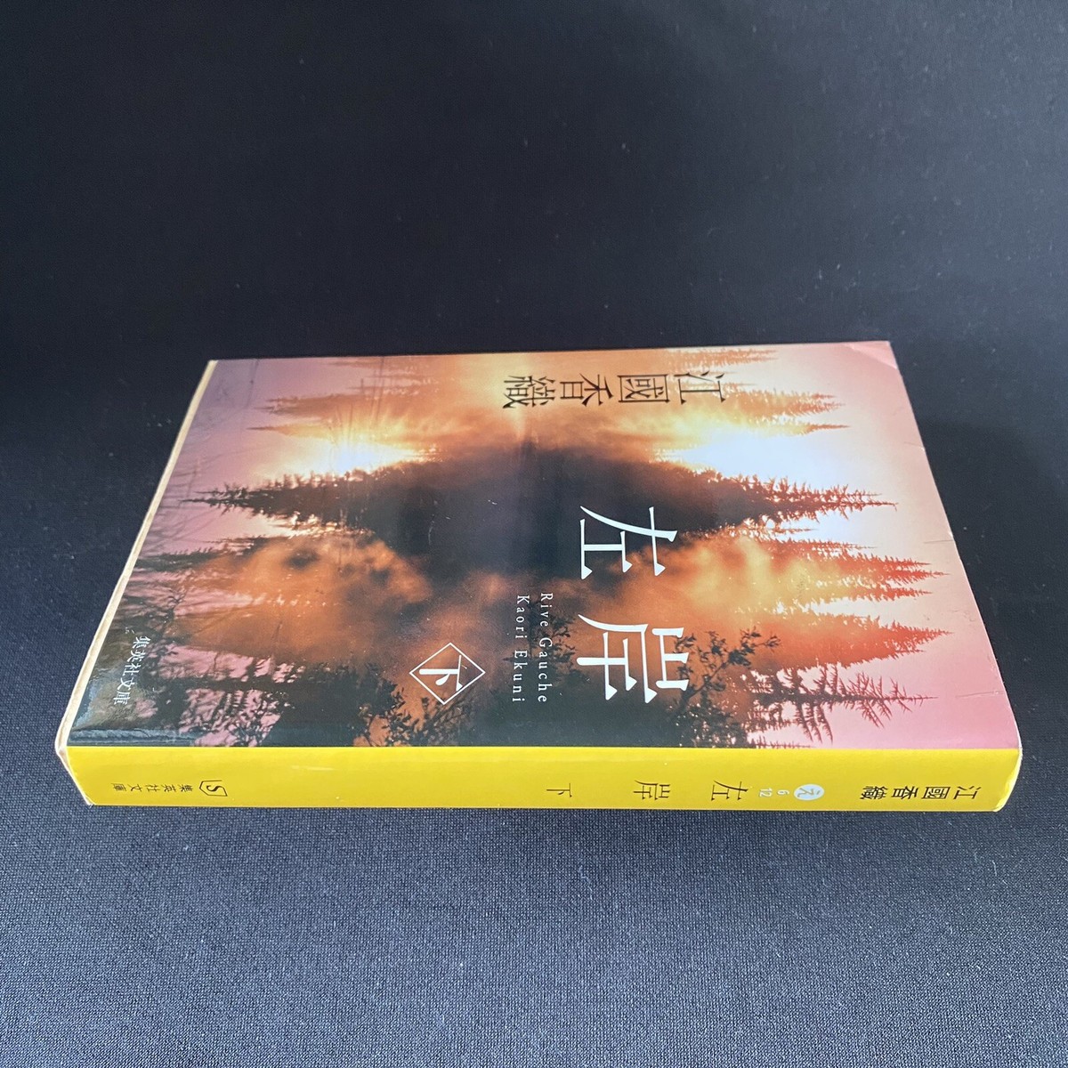 Japanese Novel Book Romance Sagan Vol. 2 Kaori Ekuni Nihongo 2012