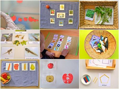 Montessori Practical Life, Mathematics, Sensorial, Cultural/Geo & Language Album
