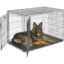Dog Crate Metal Double Door 48 Inch Large Breed Indoor Secure Foldable
