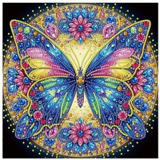 Diamond Art Kits for Adults, Butterfly Special Shape Diamond Painting Kit, Ea...