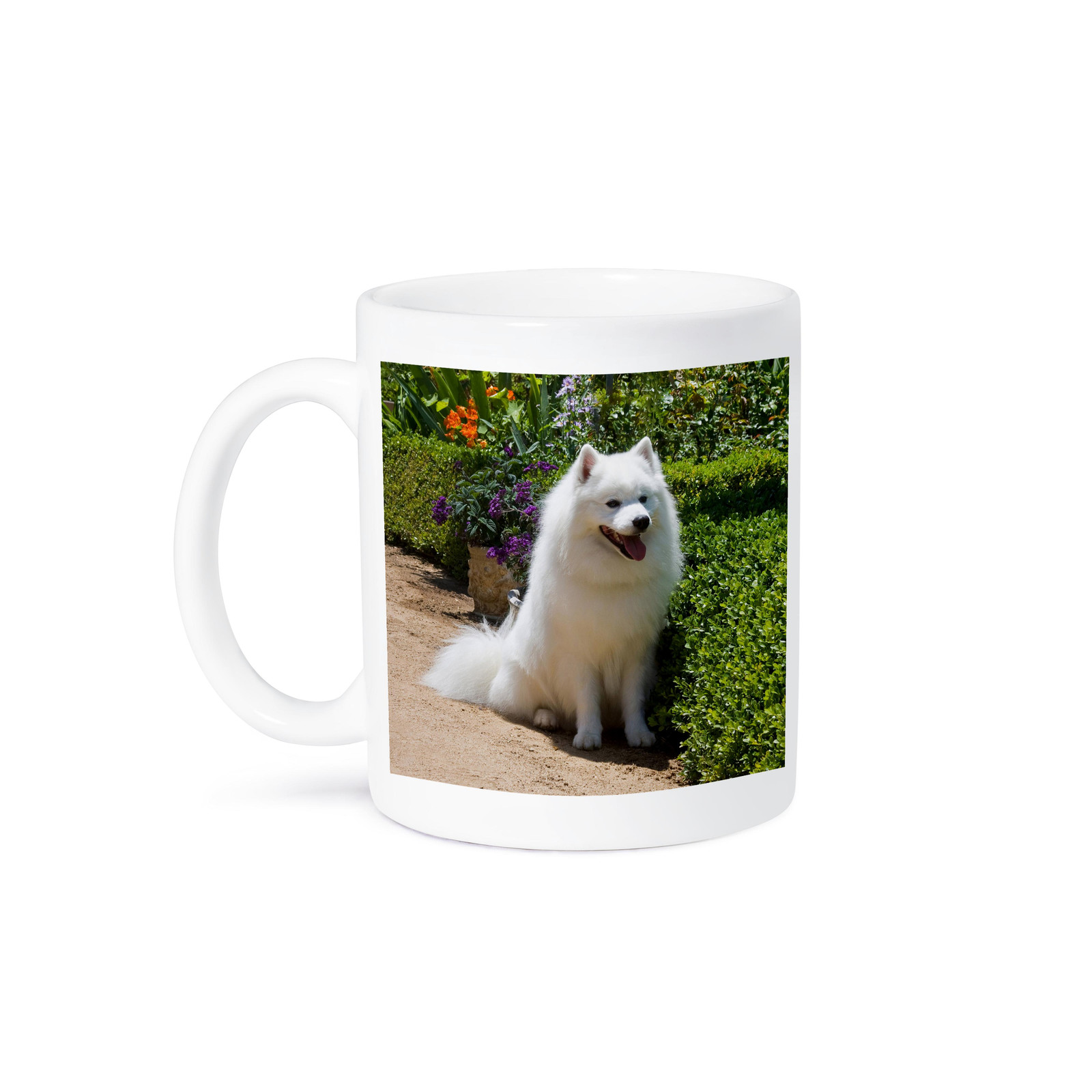 3dRose American Eskimo Dog Mug by Zandria Muench Beraldo US05 ZMU0082