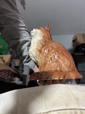 Large Ginger Beswick Cat