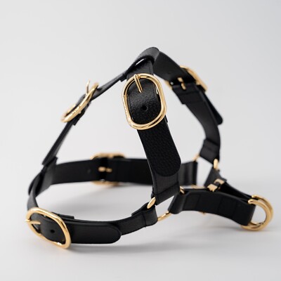size L - Gucci Dog Pet Harness Black Gold Leather | eBay