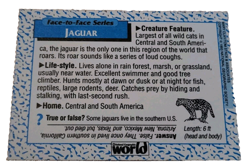 1993 National Geographic World Trading Card Jaguar (H6 - Picture 2 of 2